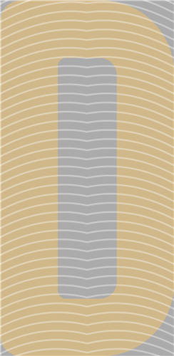 NBA and Team-QD 2194